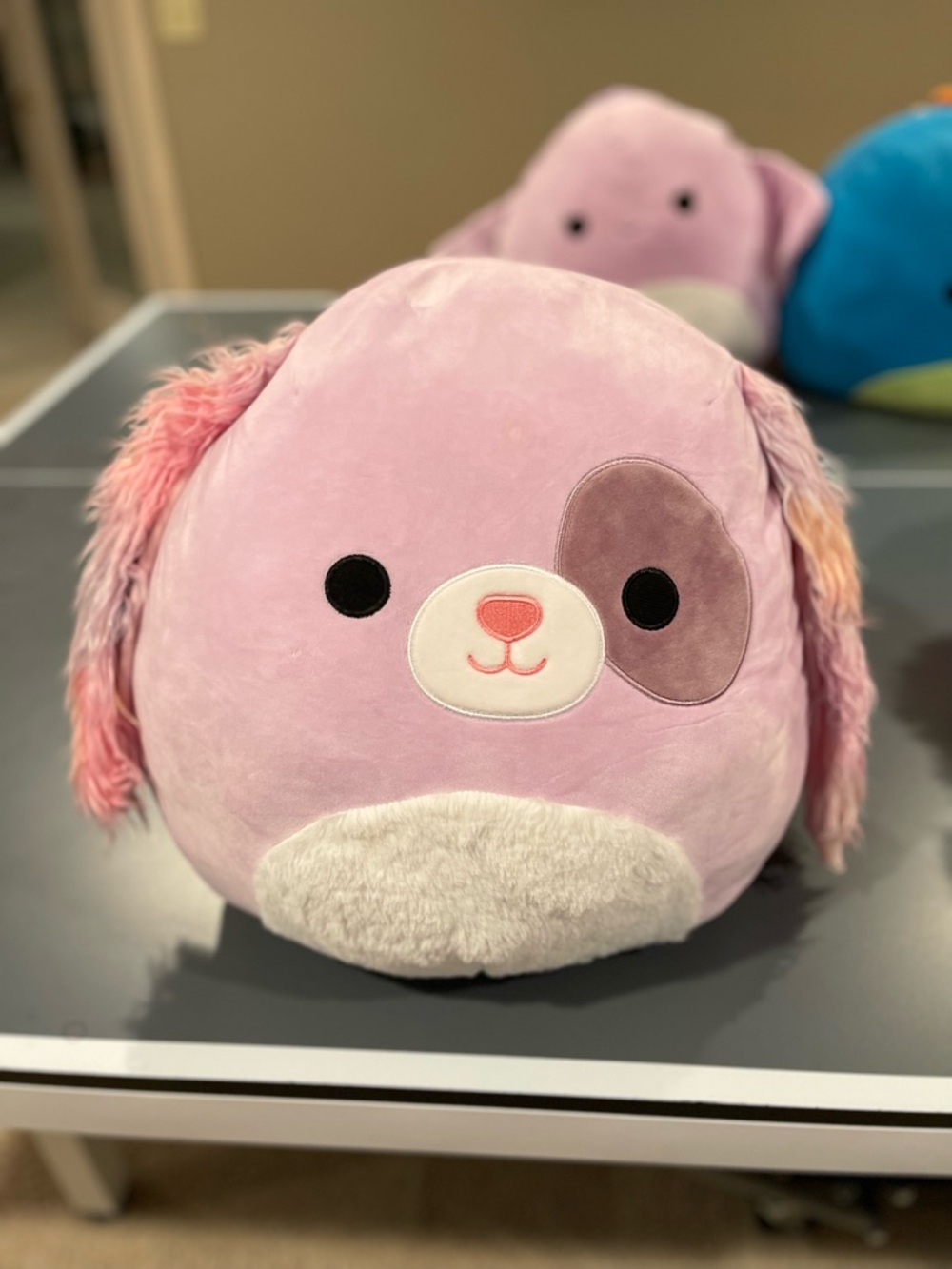 Squishmallows Pink Puppy Plush with Multicolor Ears